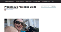 Desktop Screenshot of pregnancy.thefuntimesguide.com